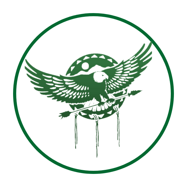 NAIPEC Logo HRZNTL KO WHITE V2.1